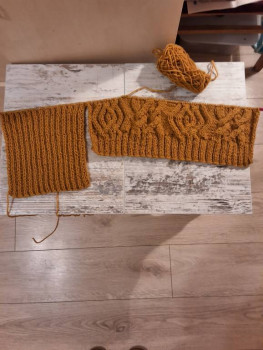 Фотоотчеты и планы Рукодельного марафона - 20241027_203052.jpg