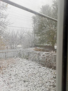 Поговорим о погоде - IMG20241114092704.jpg