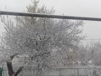 Поговорим о погоде - IMG20241114092613.jpg