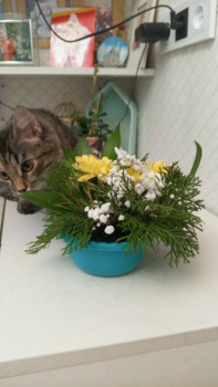 Чем сегодня занимались-2 - IMG-20241124-WA0009.jpeg