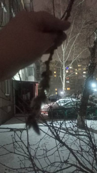 4 декабря - Введение во храм Пресвятой Богородицы. Глубинная суть даты, церковные и старинные традиции празднования - IMG20241203221206.jpg