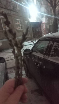 4 декабря - Введение во храм Пресвятой Богородицы. Глубинная суть даты, церковные и старинные традиции празднования - IMG20241203221426.jpg