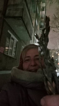 4 декабря - Введение во храм Пресвятой Богородицы. Глубинная суть даты, церковные и старинные традиции празднования - IMG20241203221458.jpg