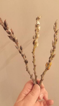 4 декабря - Введение во храм Пресвятой Богородицы. Глубинная суть даты, церковные и старинные традиции празднования - IMG20241203221819.jpg