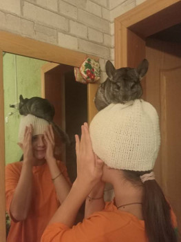 Кого из животных вы содержите? Фото приветствуется. - IMG20241212190931.jpg