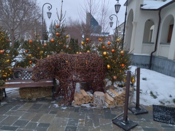 Чем сегодня занимались-2 - IMG_20250119_092503.jpg