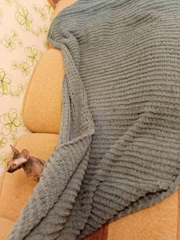 Фотоотчеты и планы Рукодельного марафона - IMG20250207165921.jpg