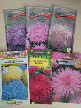 Садово-огородные дела. - IMG_20250216_144702.jpg