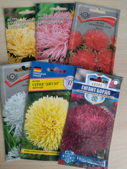 Садово-огородные дела. - IMG_20250216_144655.jpg