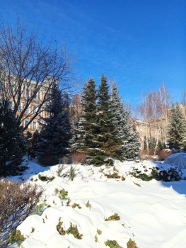 Поговорим о погоде - IMG_20250216_132726_836.jpg