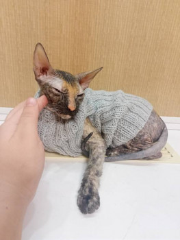 Фотоотчеты и планы Рукодельного марафона - IMG20250221203744.jpg