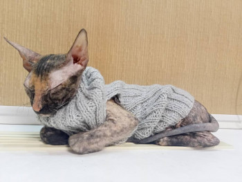 Фотоотчеты и планы Рукодельного марафона - IMG20250221204512.jpg