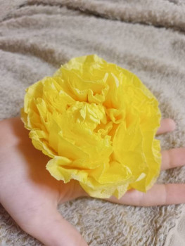 Чем сегодня занимались ваши дети? - IMG20250302185451.jpg