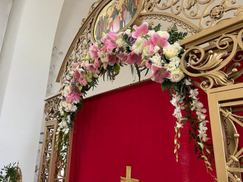 Здравствуйте,давайте знакомиться-2 - e45694dd-0d4f-4ee7-b62c-5605cc01e02f.jpeg