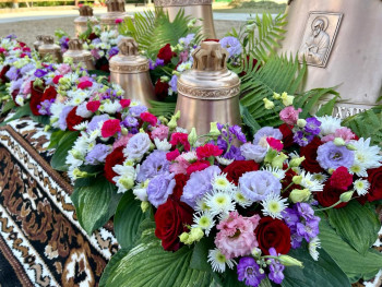 Здравствуйте,давайте знакомиться-2 - 877c8abf-dd80-41f8-882f-c79a73acda97.jpeg