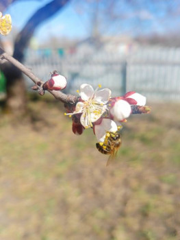 Поговорим о погоде - IMG20250404135935.jpg