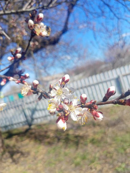 Поговорим о погоде - IMG20250404135929.jpg