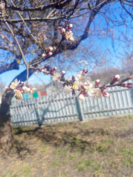 Поговорим о погоде - IMG20250404135911.jpg