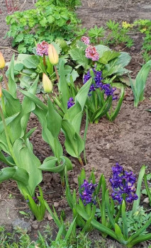 Доброго утра Хорошего дня Спокойной ночи  - Screenshot_20250410-101953.jpg