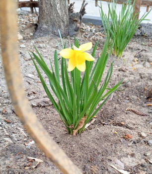 Доброго утра Хорошего дня Спокойной ночи  - 1744266112094.jpg