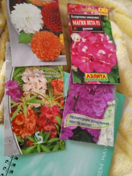 Садово-огородные дела. - 17453931713066668359722360316506.jpg