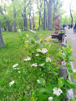 Чем сегодня занимались-3 - IMG_20250501_185509_463.jpg