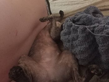 Чем сегодня занимались-3 - IMG20250513144640.jpg