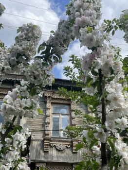 А какие Вы любите цветы? - IMG_2809.jpeg