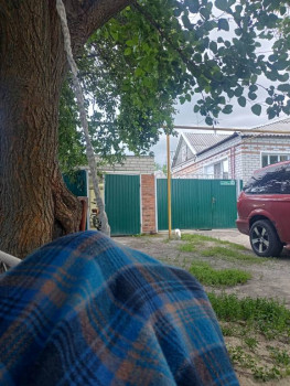 Чем сегодня занимались-3 - 1751296583067932313134982933797.jpg