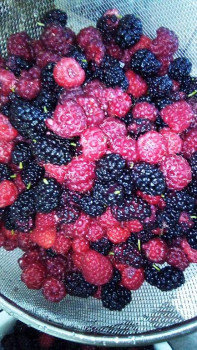 Чем сегодня занимались-3 - IMG_20250630_175138_733.jpg