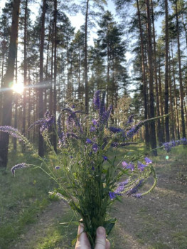 Чем сегодня занимались-3 - IMG_3990.jpeg