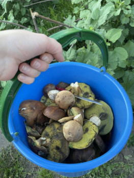 Чем сегодня занимались-3 - IMG_4001.jpeg