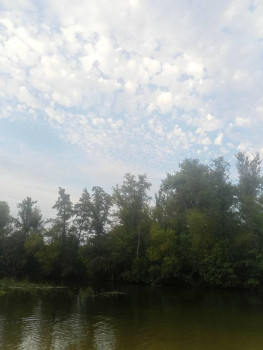 Чем сегодня занимались-3 - IMG20250730190901.jpg