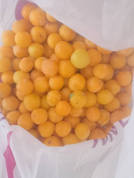 Прямо с грядки Наш урожай  - IMG20250801112458.jpg