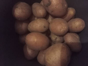 Прямо с грядки Наш урожай  - IMG20250802215439.jpg