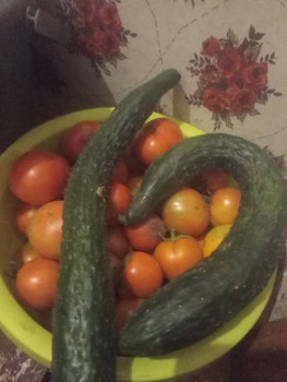 Прямо с грядки Наш урожай  - IMG20250802215430.jpg