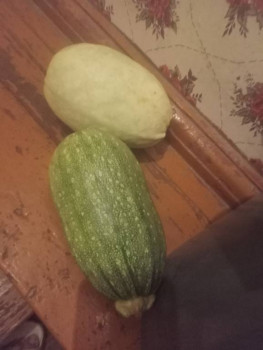 Прямо с грядки Наш урожай  - IMG20250802215234.jpg