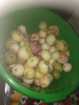 Прямо с грядки Наш урожай  - IMG20250802214320.jpg