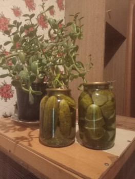 Заготовки на зиму - IMG20250802215247.jpg