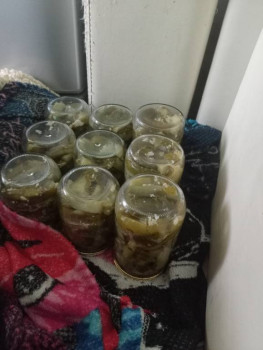 Заготовки на зиму - IMG20250806102356.jpg