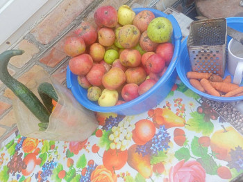 Прямо с грядки Наш урожай  - IMG20250813133941.jpg