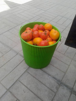 Прямо с грядки Наш урожай  - IMG20250813133946.jpg