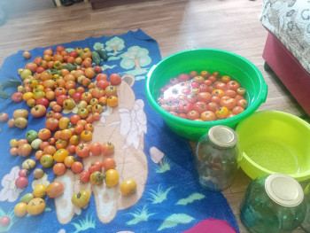 Прямо с грядки Наш урожай  - IMG20250814134647.jpg