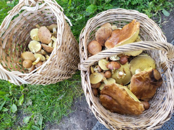 Чем сегодня занимались-3 - IMG_20250815_152955.jpg