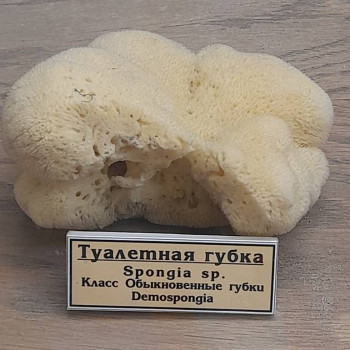 Москва - 20250805_124742.jpg