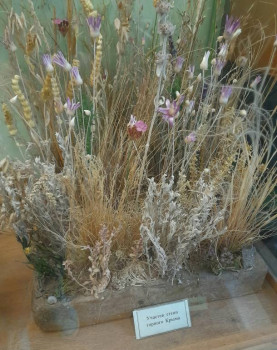 Участок степи горного Крыма