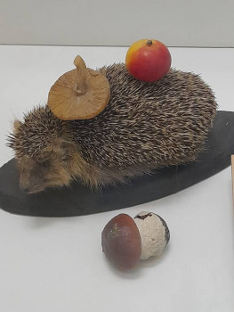 Москва - 20250805_132655.jpg