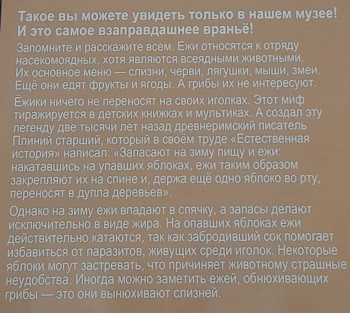 Москва - 20250805_132722.jpg