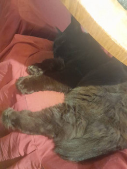 Москва - 20250805_170907.jpg