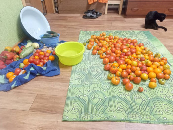 Заготовки на зиму - IMG20250818193358.jpg